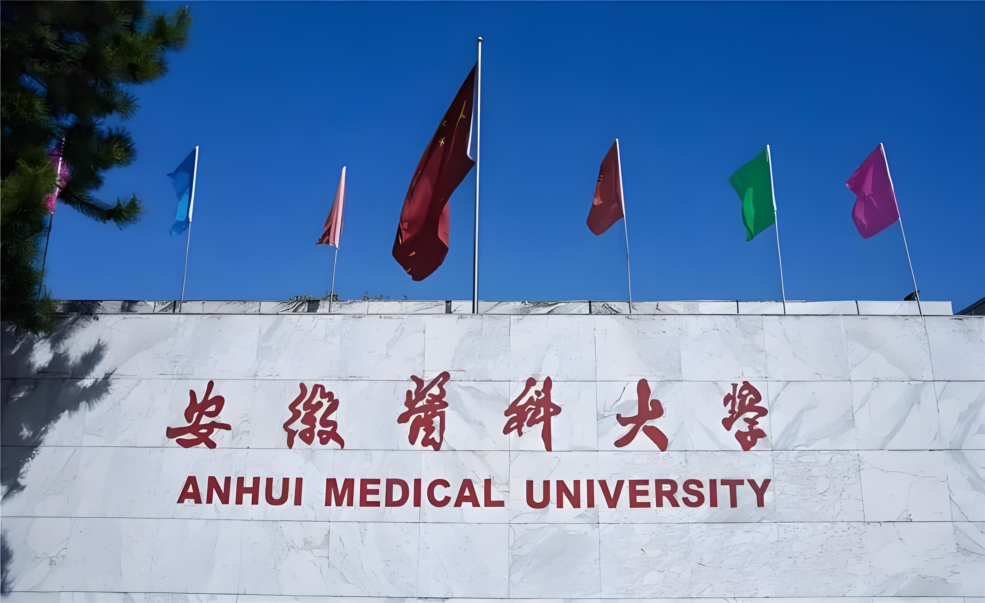 安徽医科大学南校区的搜索结果_百度图片搜索.jpg